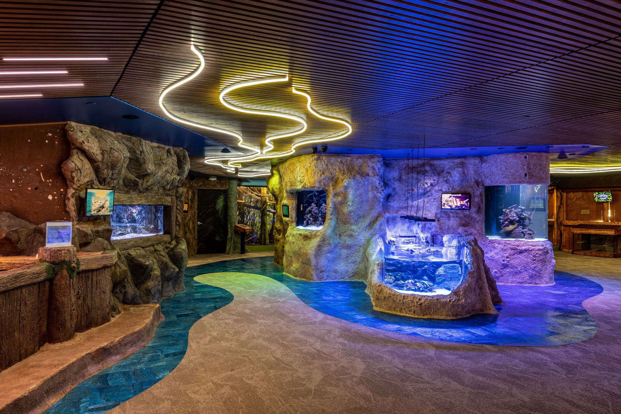 jenkinson's aquarium new top floor