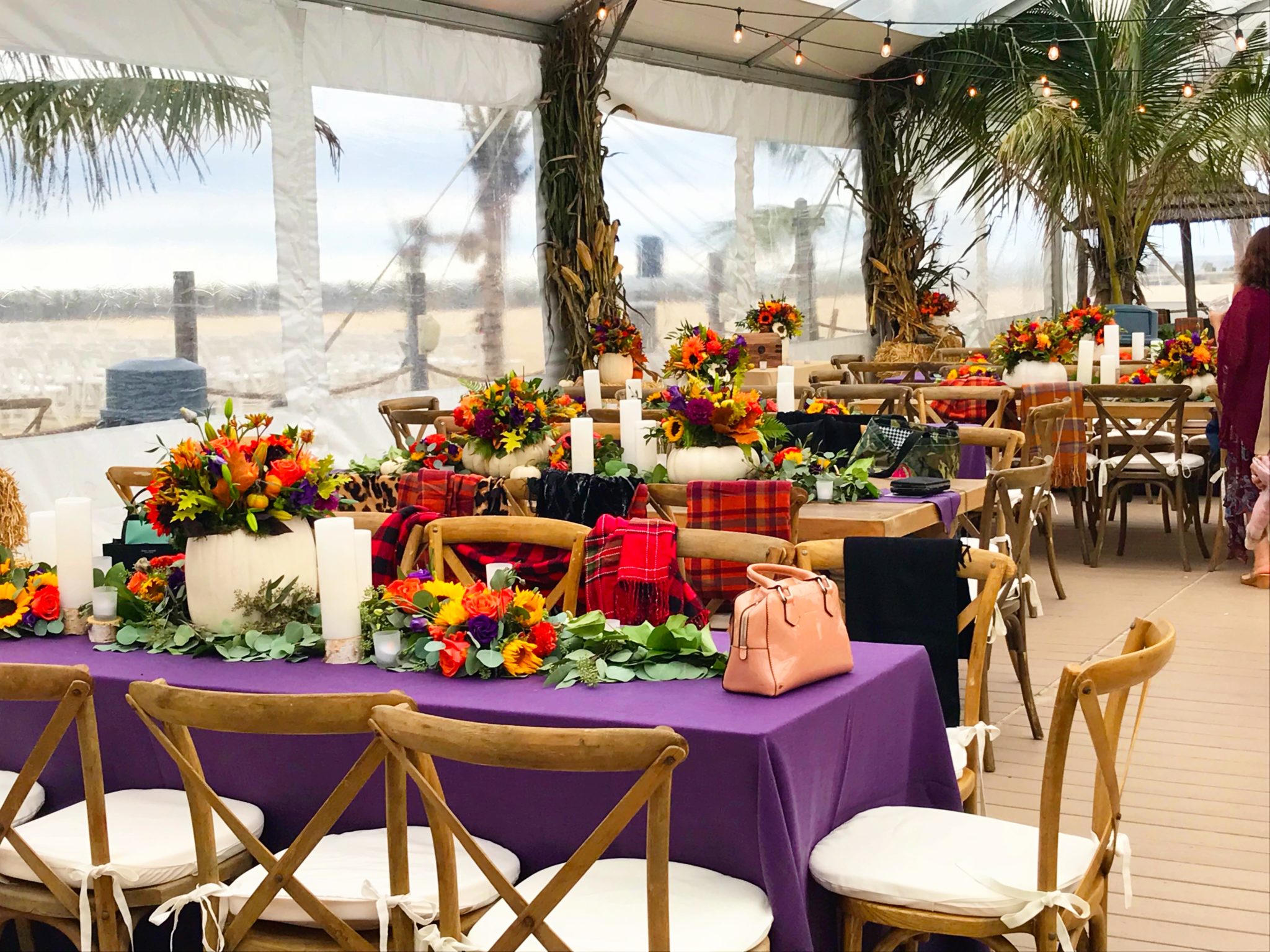 jenkinson's inlet wedding