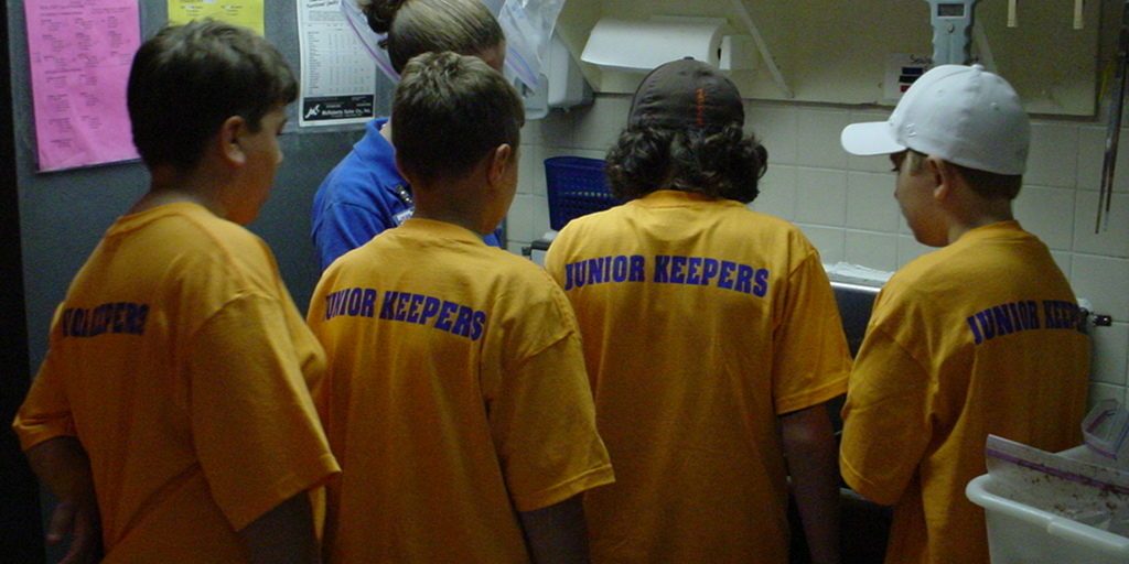 A group of Jenkinson's Junior Aquarium Keepers in yellow shirts.