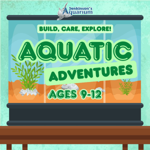 Aquatic Adventures