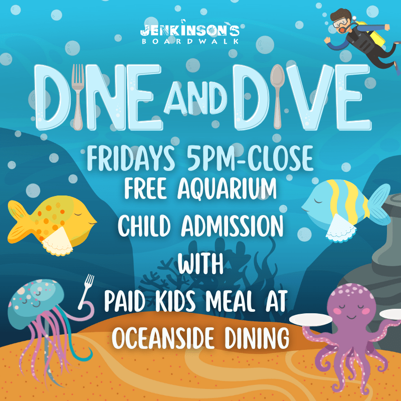 dive at dive at jenkinsons oceanside dining